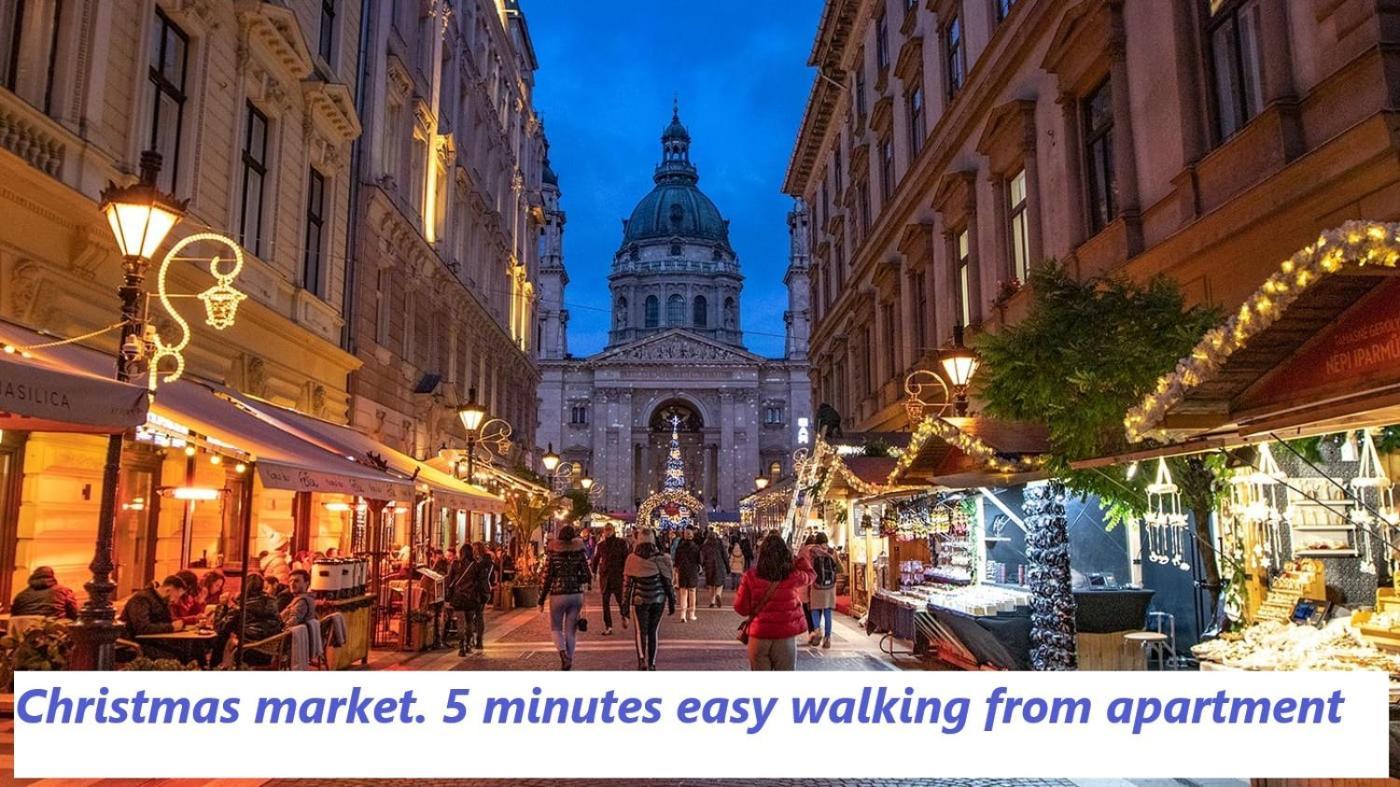 Chain Bridge Apartment Budapest Bagian luar foto