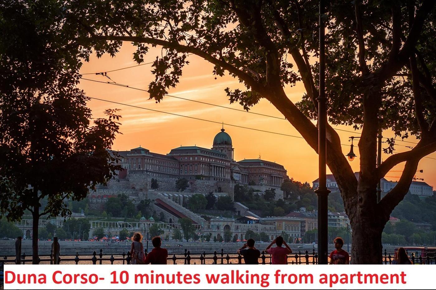Chain Bridge Apartment Budapest Bagian luar foto